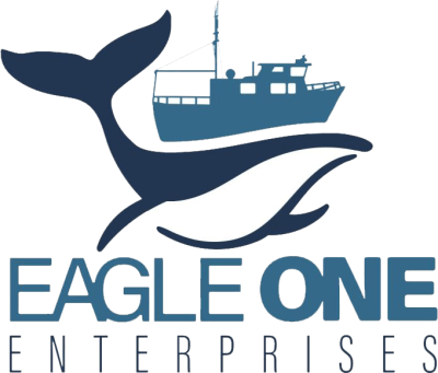 Eagle One Tours